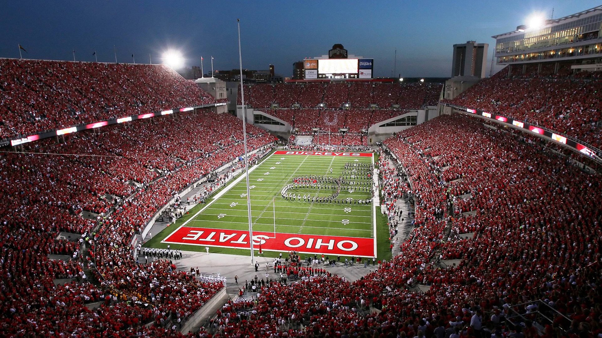 穆雷遭遇十五连败，加拿大队教练面临压力！